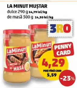 Penny LA MINUT Muștar Ofertă