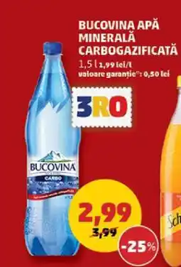Penny Bucovina Apă minerală carbogazificată Ofertă