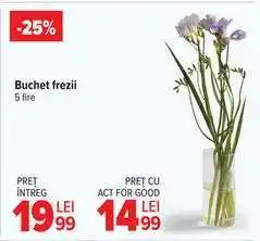 Carrefour Buchet frezii Ofertă