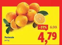 Lidl Portocale Ofertă