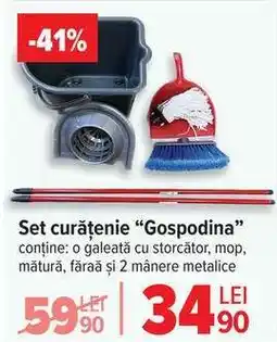 Carrefour Set curățenie “Gospodina” Ofertă