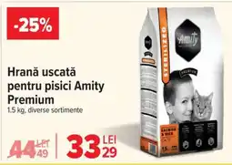 Carrefour Hrană uscată pentru pisici Amity Premium Ofertă