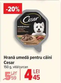 Carrefour Hrană umedă pentru câini Cesar Ofertă