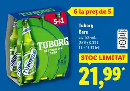 Lidl Tuborg Bere Ofertă