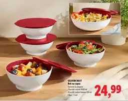 Lidl SILVERCREST Bol cu capac Ofertă