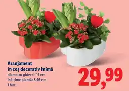 Lidl Aranjament în coş decorativ inimă Ofertă