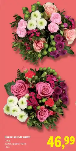 Lidl Buchet mix de culori Ofertă