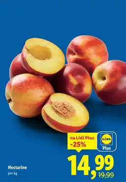 Lidl Nectarine Ofertă