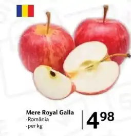Selgros Mere Royal Galla Ofertă