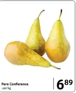 Selgros Pere Conference Ofertă