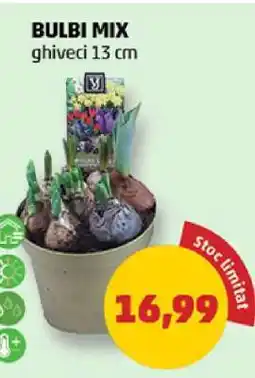 Penny BULBI MIX Ofertă