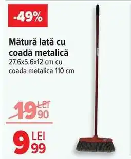 Carrefour Mătură lată cu coadă metalică Ofertă