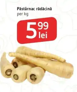 Supeco Pǎstârnac rădăcină Ofertă