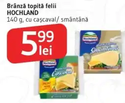 Supeco Brânză topită felii HOCHLAND Ofertă