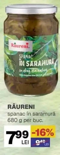 Annabella RÂURENI spanac în saramură Ofertă