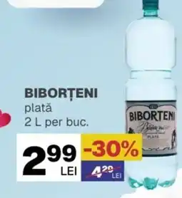 Annabella Biborţeni plată Ofertă