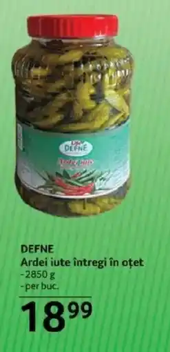 Selgros DEFNE Ardei iute întregi în oțet Ofertă