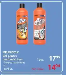 Selgros MR.MUSCLE Gel pentru desfundat ţevi Ofertă