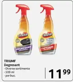 Selgros TRIUMF Degresant Ofertă