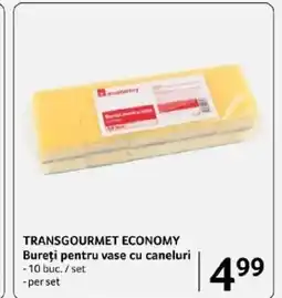Selgros TRANSGOURMET ECONOMY Bureți pentru vase cu caneluri Ofertă