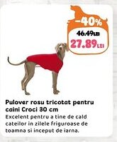 Animax Pulover rosu tricotat pentru caini Croci Ofertă
