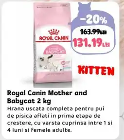 Animax Royal Canin Mother and Babycat Ofertă