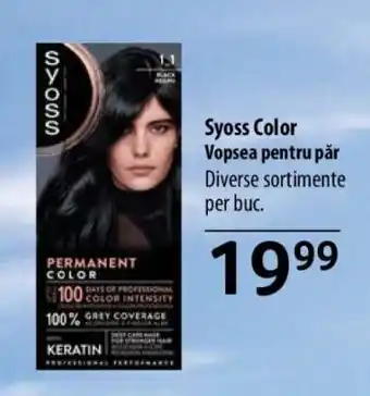 Selgros SYOSS COLOR Ofertă