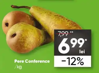PROFI Pere Conference Ofertă