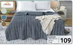 Selgros Cuvertură Ofertă