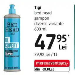 DM Tigi bed head Șampon Ofertă