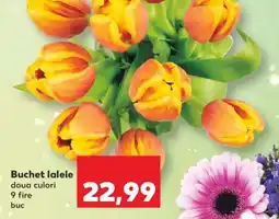 Kaufland Buchet lalele Ofertă