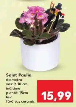 Kaufland Saint Paulia Ofertă