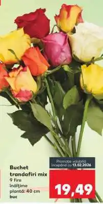 Kaufland Buchet trandafiri mix Ofertă