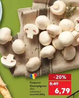 Kaufland Ciuperci Champignon Ofertă