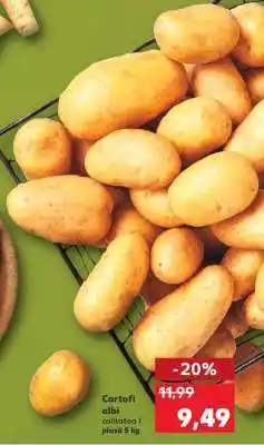 Kaufland Cartofi albi Ofertă