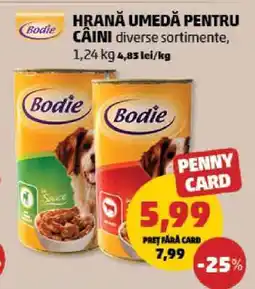 Penny Hrana umedă pentru câini Ofertă