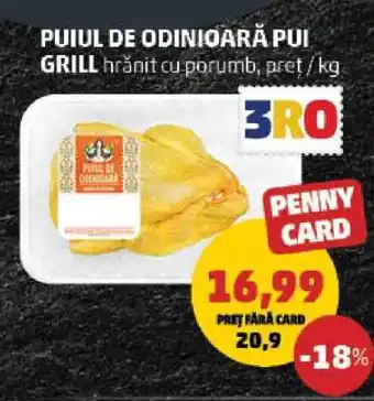 Penny Puiul de Odinioară Pui Grill Ofertă