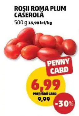 Penny Roșii Roma Plum Caserolă Ofertă