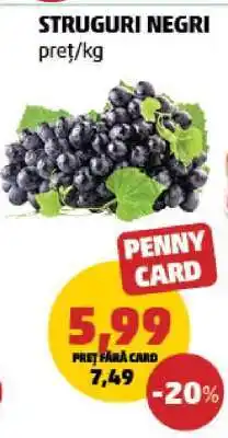 Penny Struguri negri Ofertă