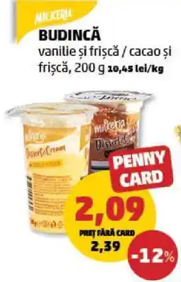 Penny Budincă Ofertă