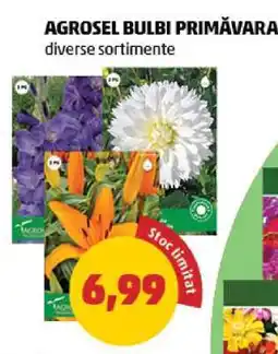 Penny AGROSEL BULBI PRIMĂVARA Ofertă