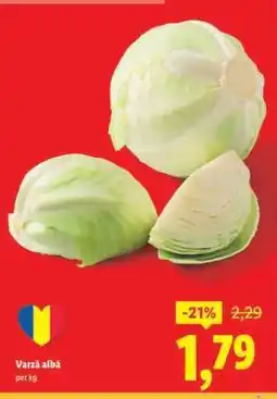 Lidl Varză albă Ofertă