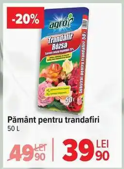 Carrefour Pământ pentru trandafiri Ofertă