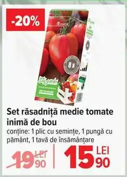 Carrefour Set răsadniță medie tomate inimă de bou Ofertă