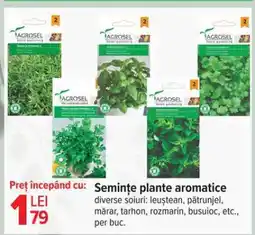 Carrefour Semințe plante aromatice Ofertă