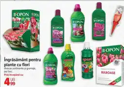 Carrefour Îngrășământ pentru plante cu flori Ofertă