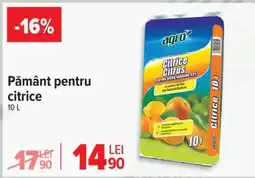 Carrefour Pământ pentru citrice Ofertă