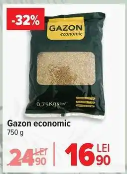 Carrefour Gazon economic Ofertă