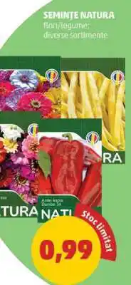 Penny SEMINȚE NATURA Ofertă