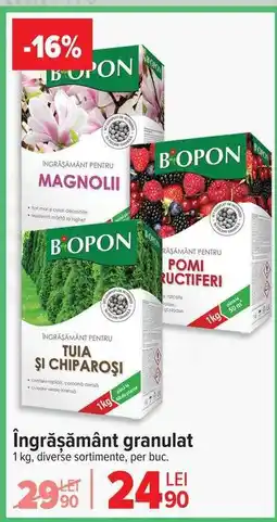 Carrefour Îngrășământ granulat Ofertă